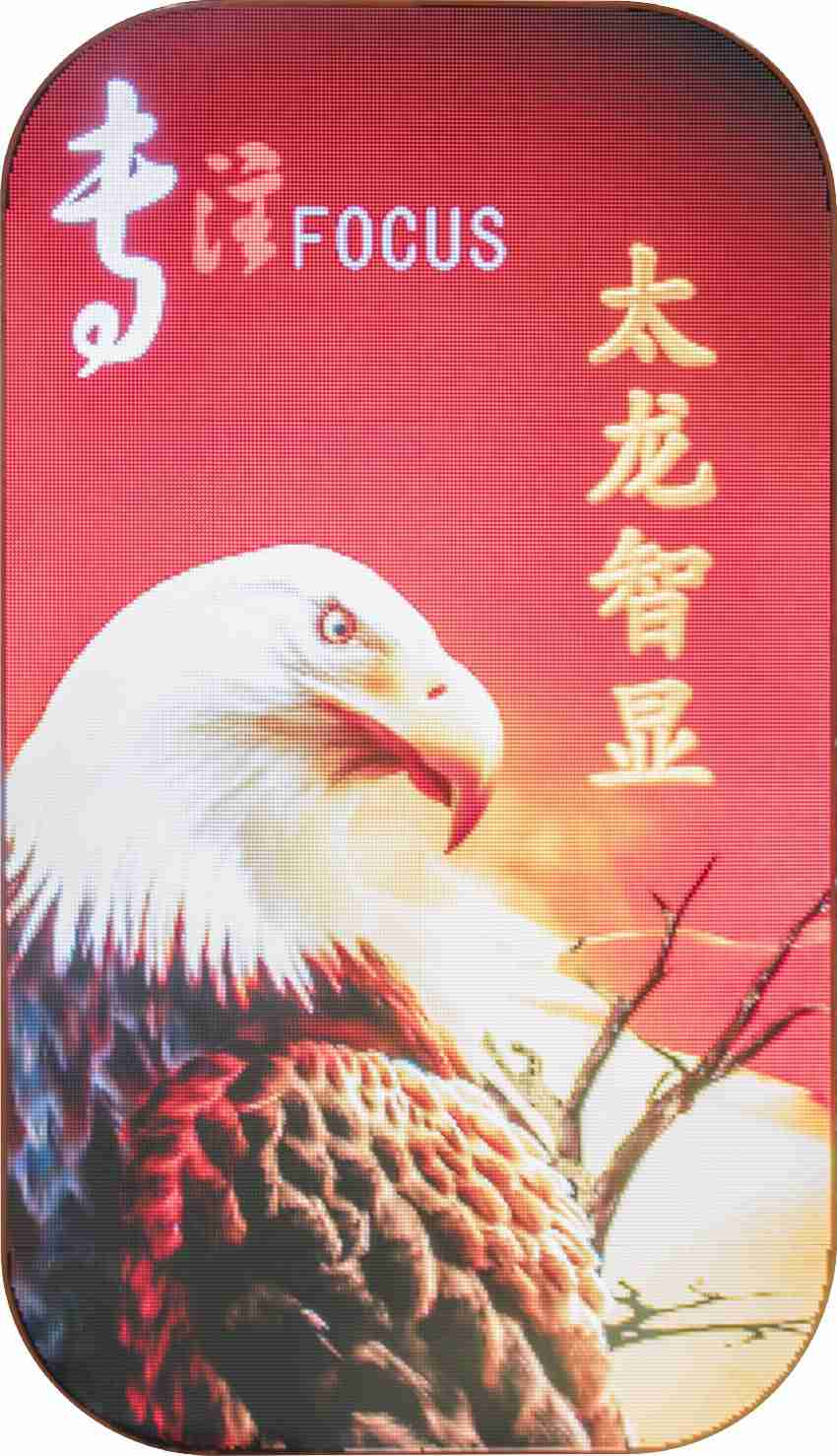 LED燈桿屏|智慧燈桿屏|立柱廣告機|LED廣告機|智慧路燈屏|燈桿廣告屏 LED燈桿屏|智慧燈桿屏|立柱廣告機|LED廣告機|智慧路燈屏|燈桿廣告屏